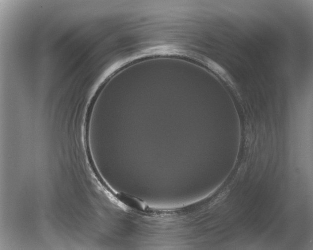 X0000078841334200611131139