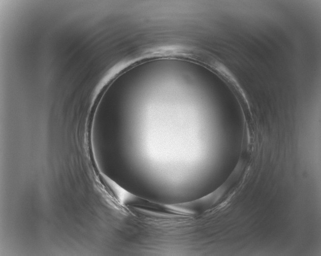 X0000078841336200611131139