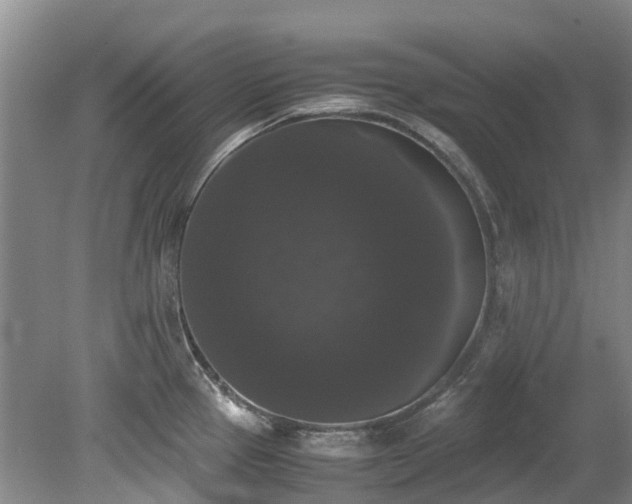 X0000078841337200611131139