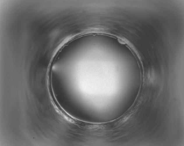 X0000078841341200611131139