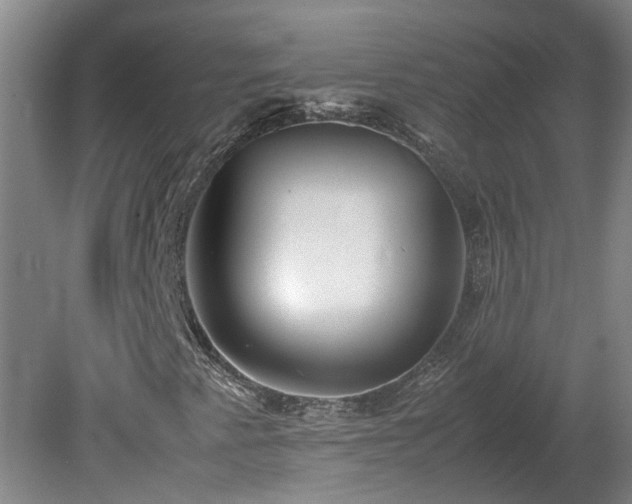 X0000078841345200611131138