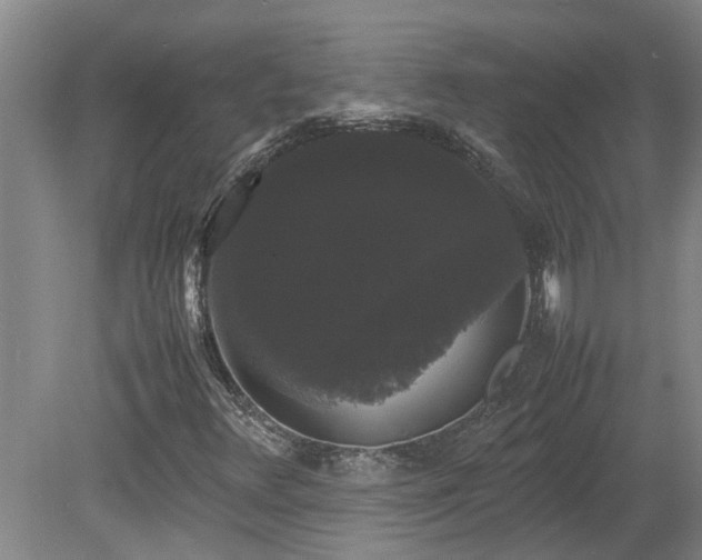 X0000078841348200611131138