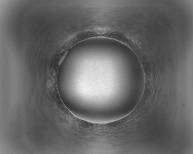 X0000078841349200611131138