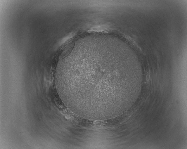 X0000078841350200611131138