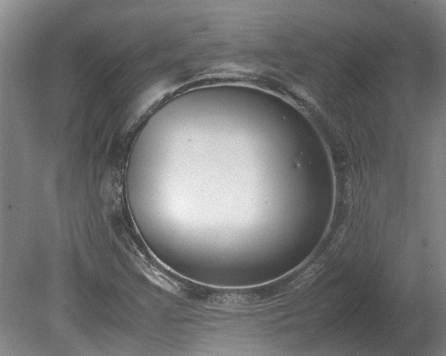 X0000078841355200611131138