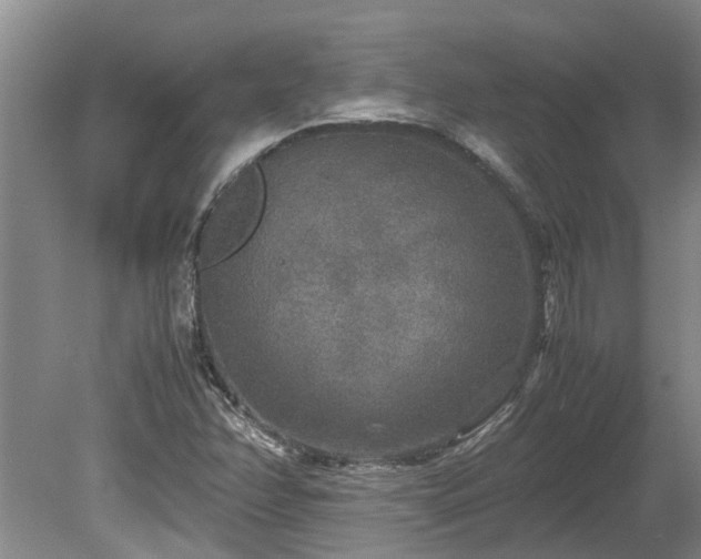 X0000078841358200611131138