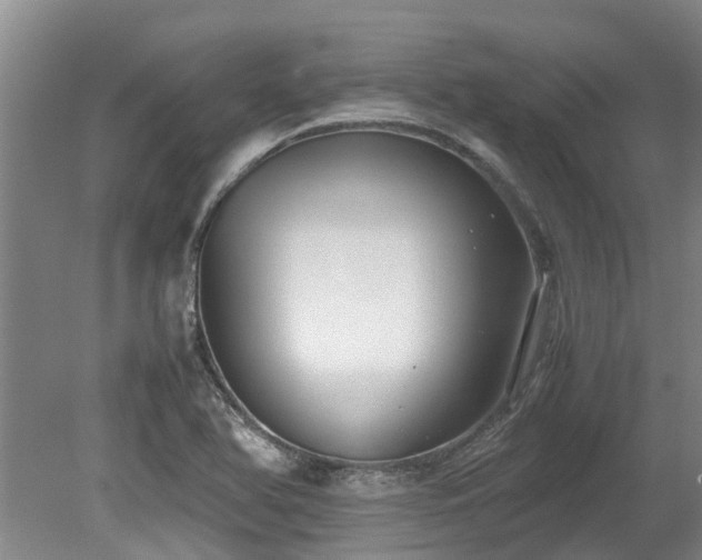 X0000078841366200611131138