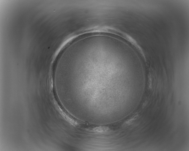 X0000078841368200611131138