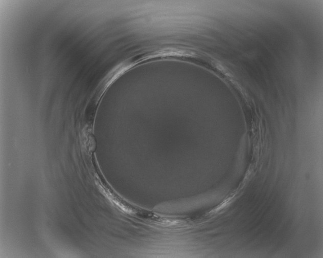 X0000078841369200611131138