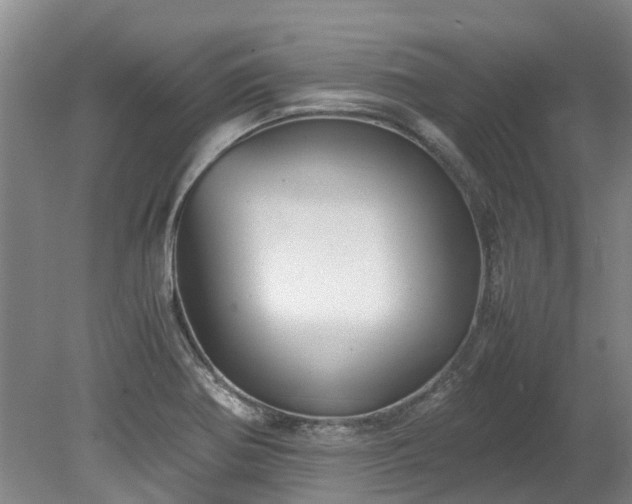 X0000078841370200611131138