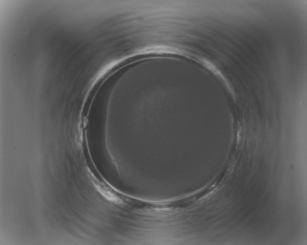 X0000078841372200611131138