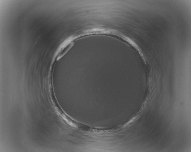 X0000078841373200611131138