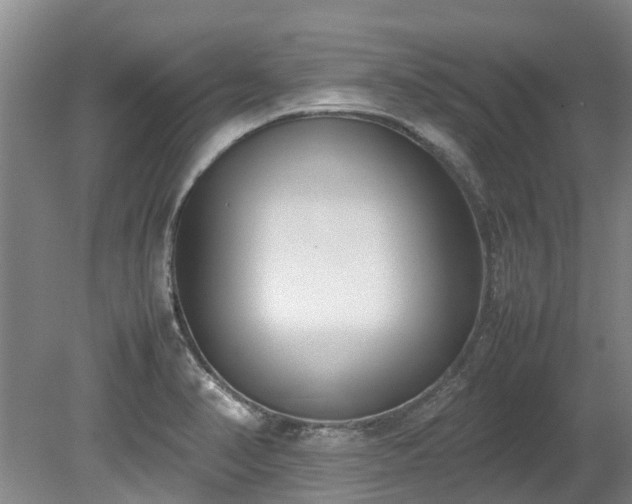 X0000078841374200611131138