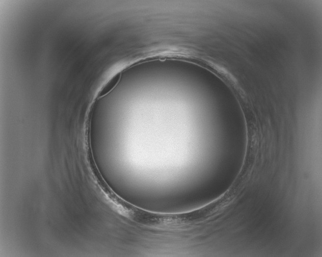 X0000078841375200611131138