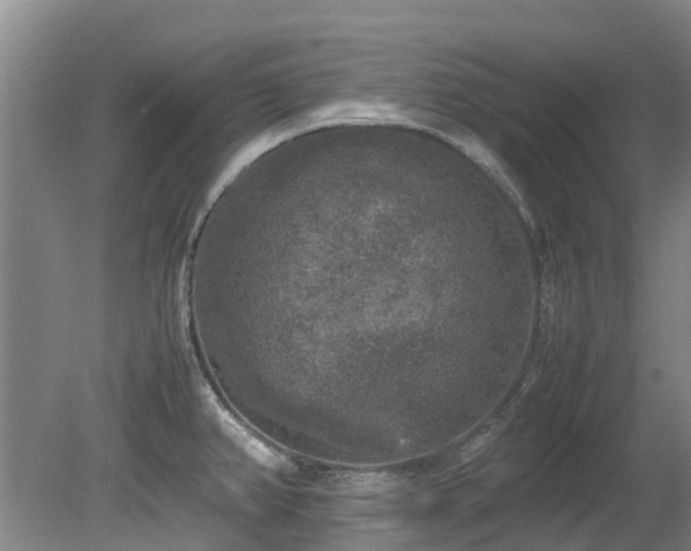 X0000078841382200611131137