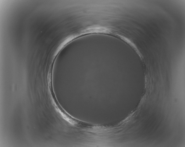 X0000078841383200611131137