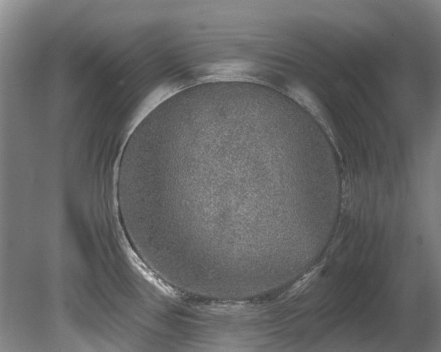X0000078841386200611131137