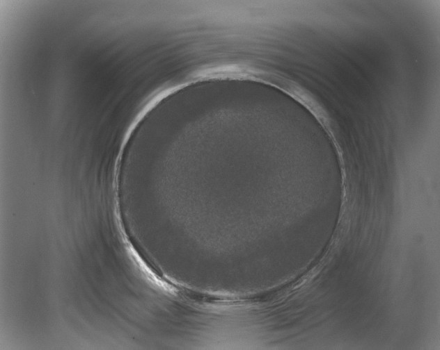 X0000078841392200611131137