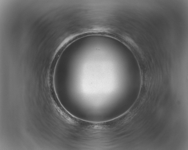 X0000078841412200611131137