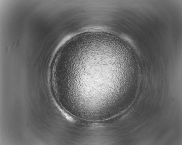 X0000078841424200611131137