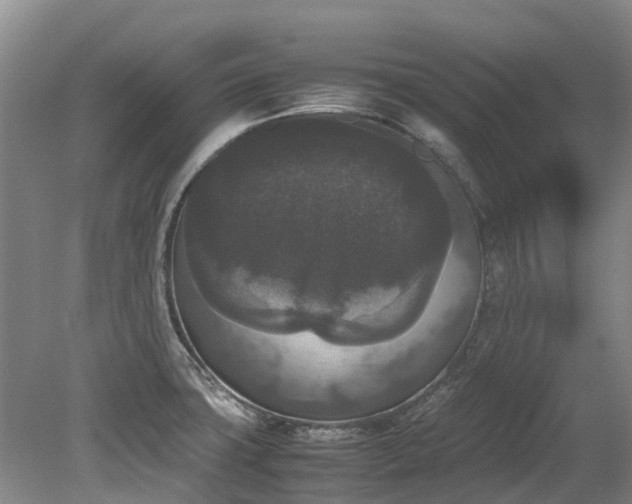 X0000078841427200611131137