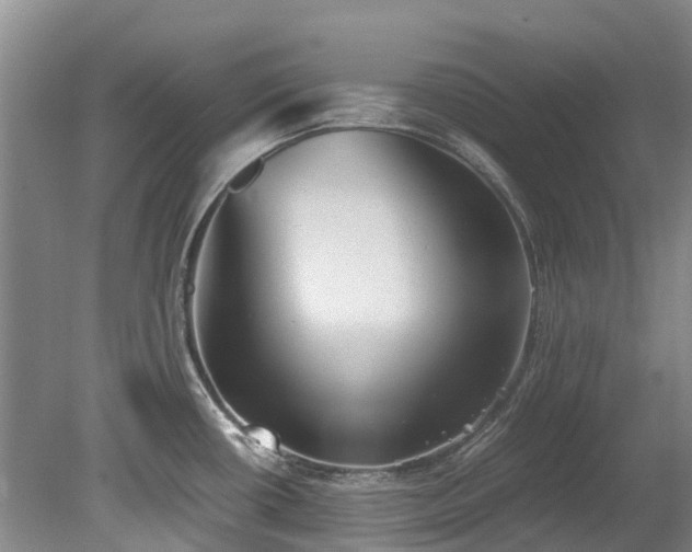 X0000078841434200611131137