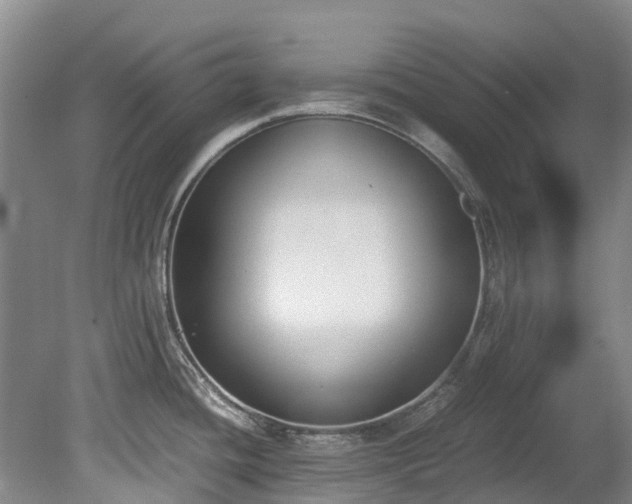 X0000078841436200611131137