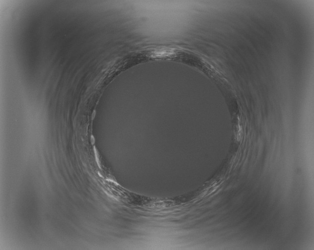 X0000078841441200611131136