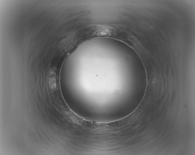 X0000078841442200611131136