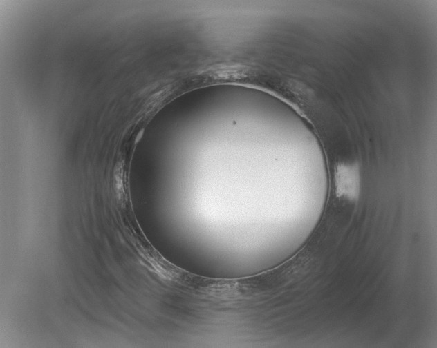 X0000078841444200611131136