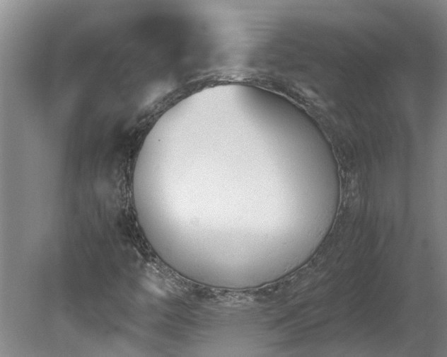 X0000078841446200611131136