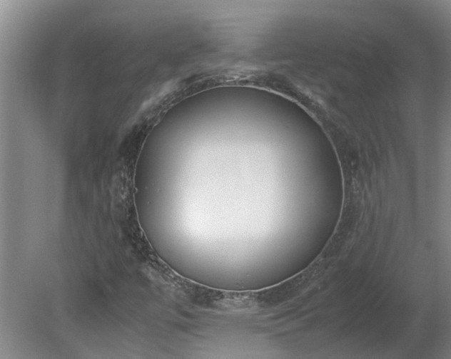 X0000078841447200611131136