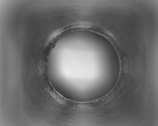 X0000078841448200611131136