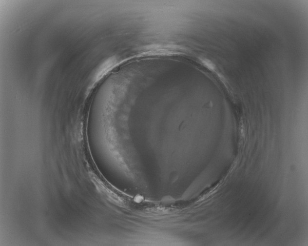 X0000078841459200611131136