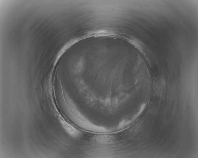 X0000078841474200611131136