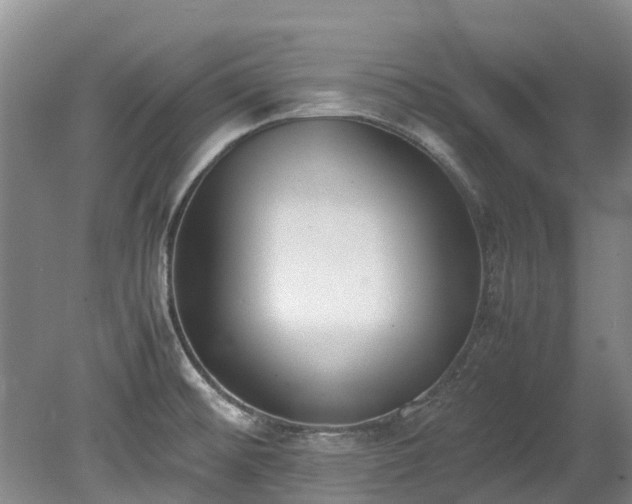 X0000078841476200611131136
