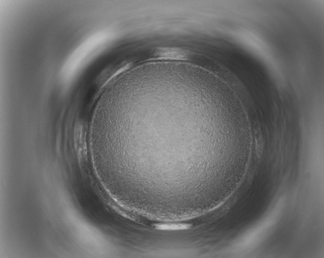X0000078841487200611131136