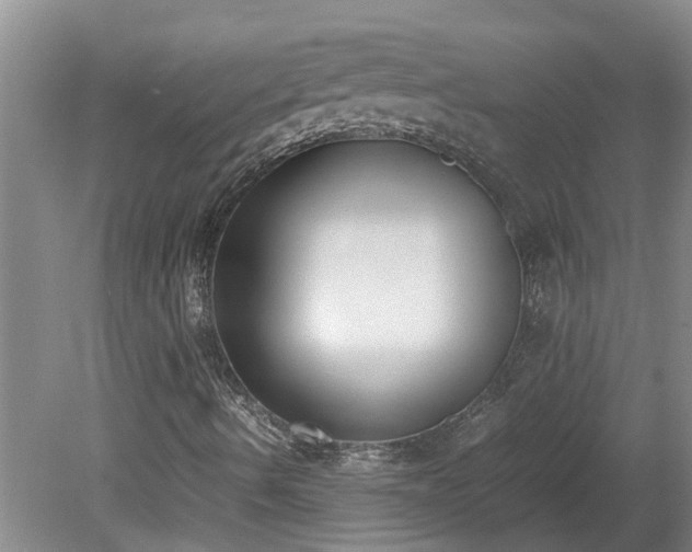 X0000078841490200611131135