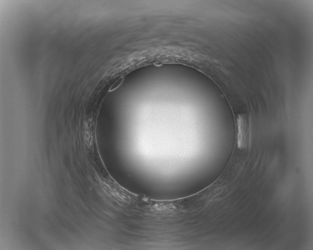 X0000078841491200611131135