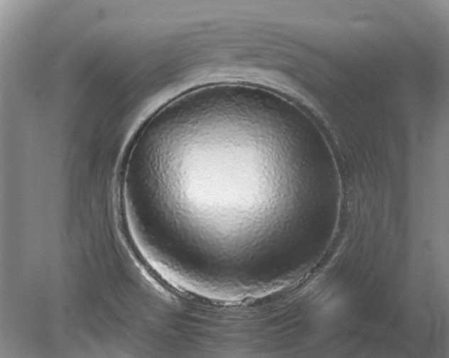 X0000078841517200611131135