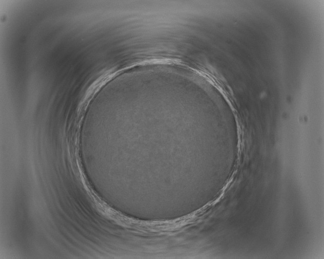 X0000078840001200611201325