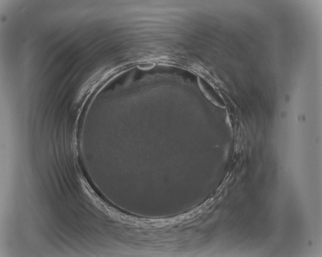 X0000078840002200611201325