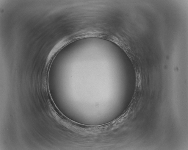 X0000078840004200611201325