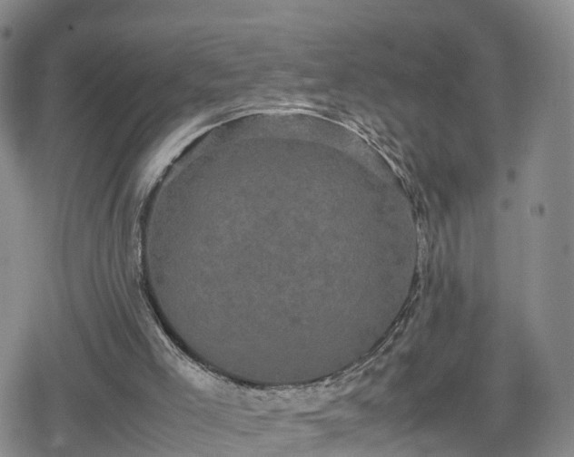 X0000078840005200611201325