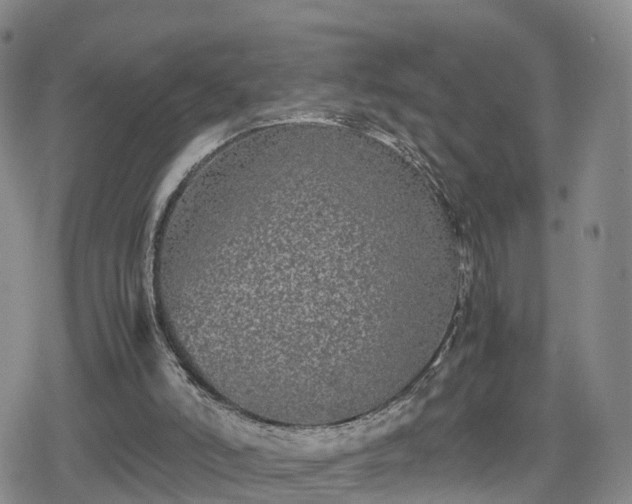 X0000078840006200611201325