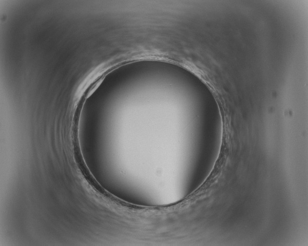 X0000078840007200611201325