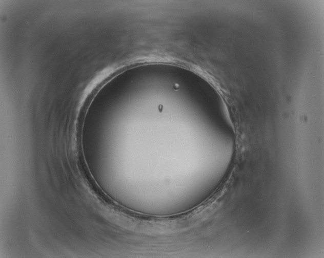 X0000078840008200611201325