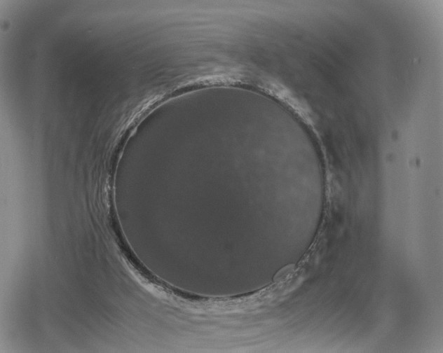 X0000078840009200611201325