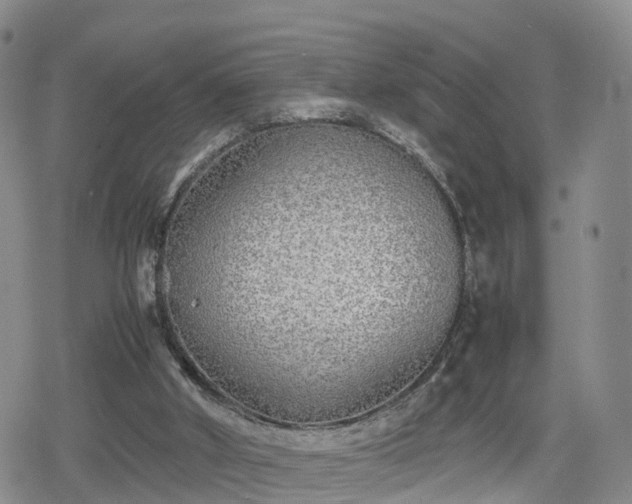 X0000078840010200611201325