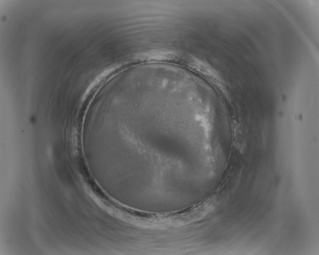 X0000078840012200611201325